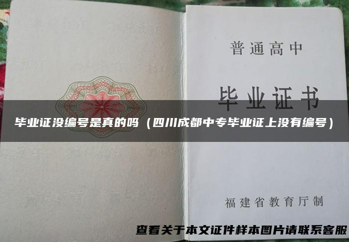 毕业证没编号是真的吗（四川成都中专毕业证上没有编号）