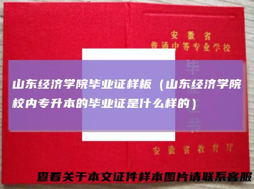 山东经济学院毕业证样板（山东经济学院校内专升本的毕业证是什么样的）