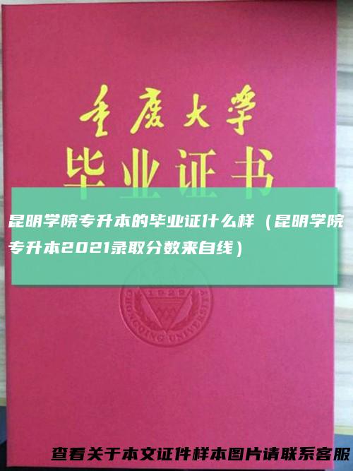 昆明学院专升本的毕业证什么样(昆明学院专升本2021录取分数来自线)