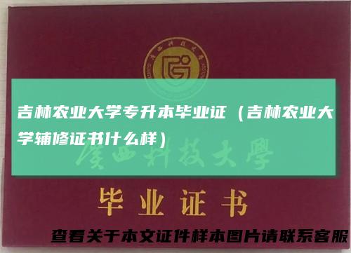 吉林农业大学专升本毕业证（吉林农业大学辅修证书什么样）