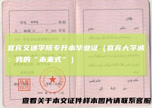 宜宾交通学院专升本毕业证（宜宾大学城：我的“未来式”）