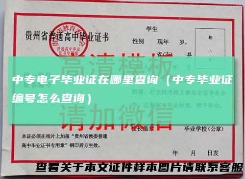 中专电子毕业证在哪里查询（中专毕业证编号怎么查询）