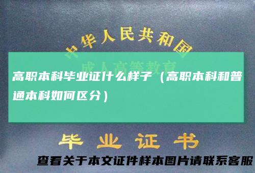 高职本科毕业证什么样子(高职本科和普通本科如何区分)