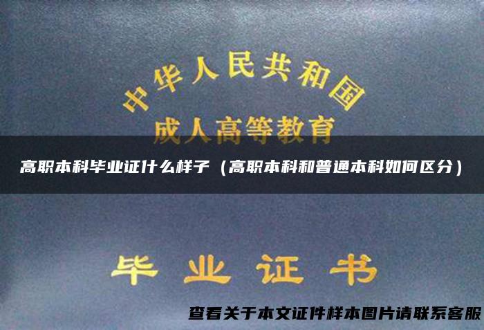 高职本科毕业证什么样子（高职本科和普通本科如何区分）