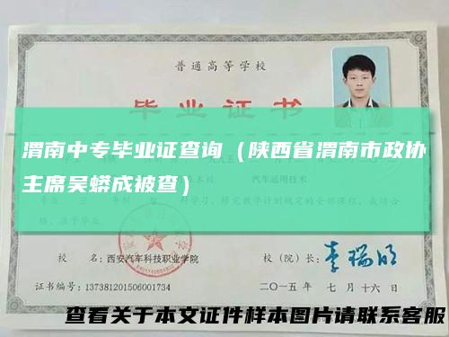 渭南中专毕业证查询（陕西省渭南市政协主席吴蟒成被查）