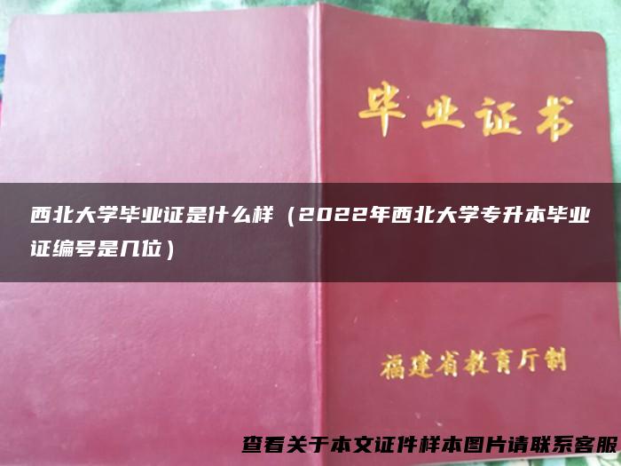 西北大学毕业证是什么样（2022年西北大学专升本毕业证编号是几位）