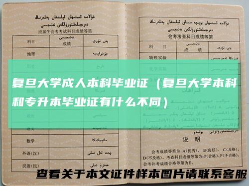 复旦大学成人本科毕业证（复旦大学本科和专升本毕业证有什么不同）