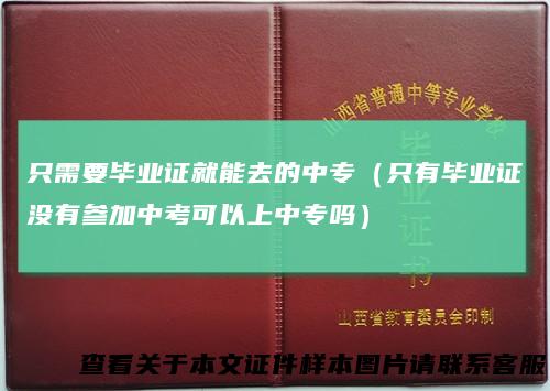只需要毕业证就能去的中专（只有毕业证没有参加中考可以上中专吗）
