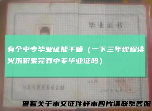 有个中专毕业证能干嘛(一下三年课程读火承积象完有中专毕业证吗)