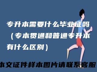 专升本需要什么毕业证吗（专本贯通和普通专升本有什么区别）