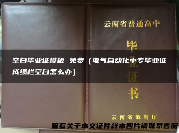 空白毕业证模板 免费（电气自动化中专毕业证成绩栏空白怎么办）