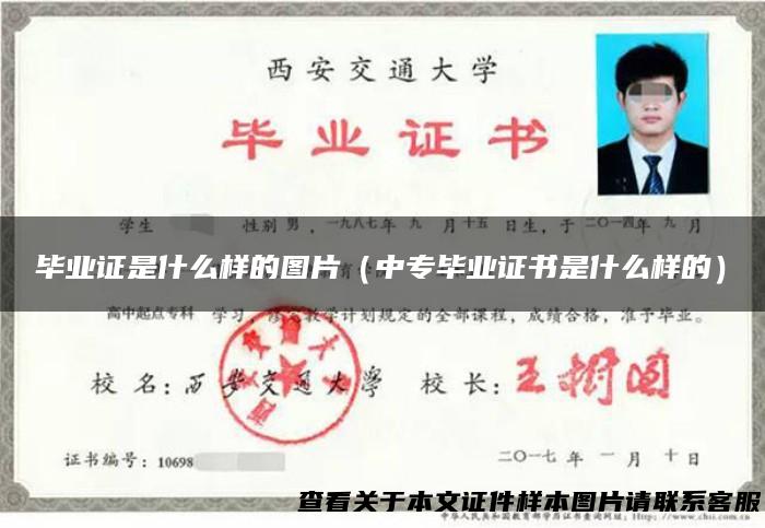 毕业证是什么样的图片（中专毕业证书是什么样的）