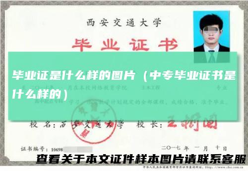 毕业证是什么样的图片(中专毕业证书是什么样的)