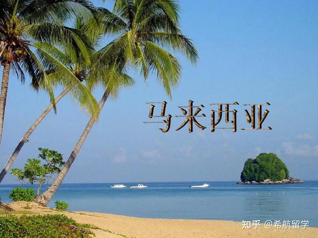 中专毕业证相片要什么颜色（马来西亚签证照片的格式和清晰度要求）插图44