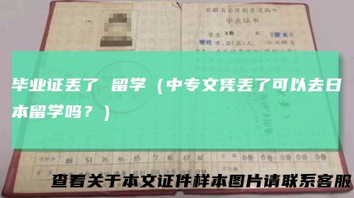 毕业证丢了 留学（中专文凭丢了可以去日本留学吗？）