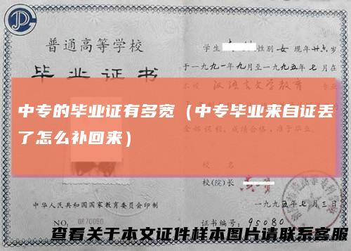 中专的毕业证有多宽(中专毕业来自证丢了怎么补回来)