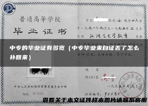 中专的毕业证有多宽（中专毕业来自证丢了怎么补回来）