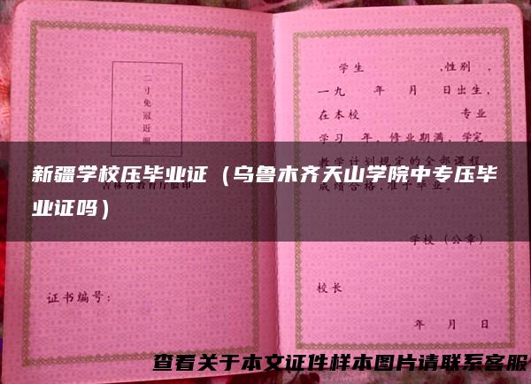 新疆学校压毕业证（乌鲁木齐天山学院中专压毕业证吗）