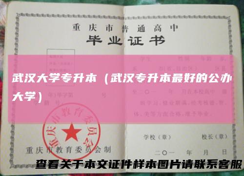 武汉大学专升本（武汉专升本最好的公办大学）
