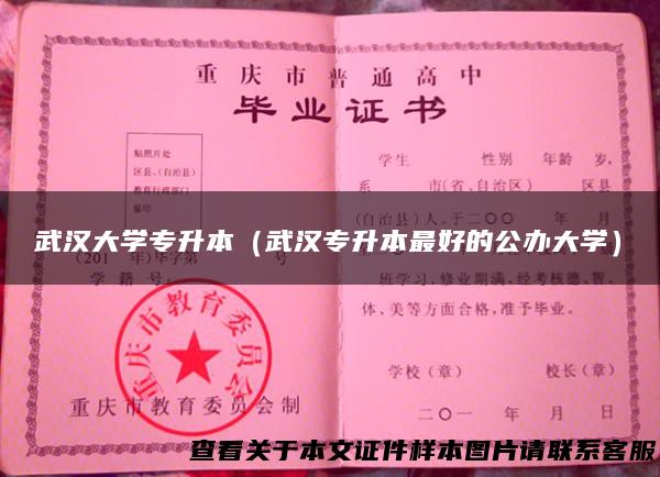 武汉大学专升本（武汉专升本最好的公办大学）