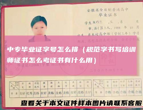 中专毕业证字号怎么排（规范字书写培训师证书怎么考证书有什么用）