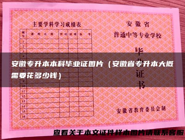 安徽专升本本科毕业证图片（安徽省专升本大概需要花多少钱）