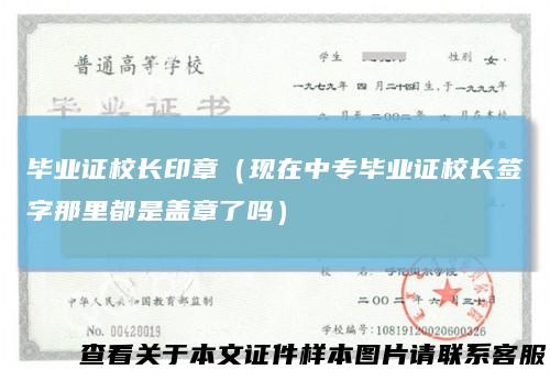 毕业证校长印章(现在中专毕业证校长签字那里都是盖章了吗)