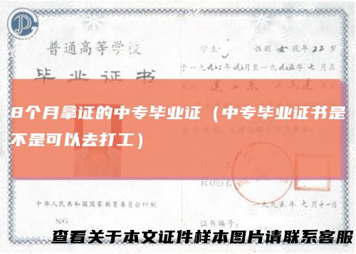8个月拿证的中专毕业证(中专毕业证书是不是可以去打工)