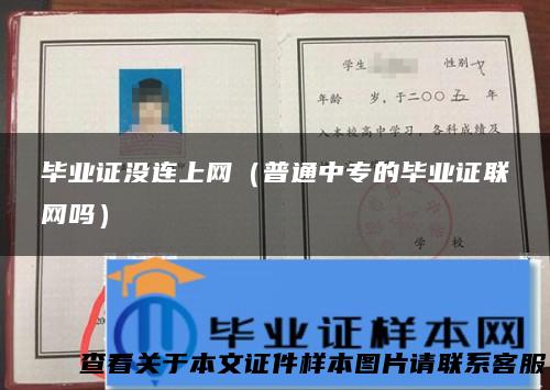 毕业证没连上网（普通中专的毕业证联网吗）