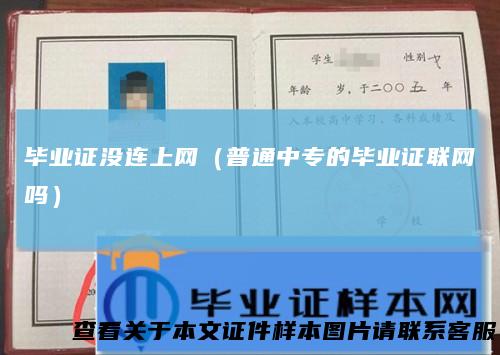 毕业证没连上网（普通中专的毕业证联网吗）