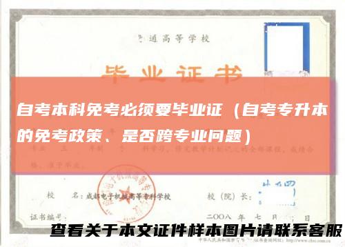 自考本科免考必须要毕业证(自考专升本的免考政策、是否跨专业问题)