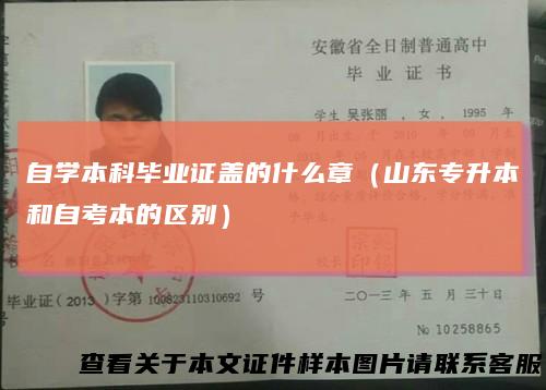 自学本科毕业证盖的什么章（山东专升本和自考本的区别）