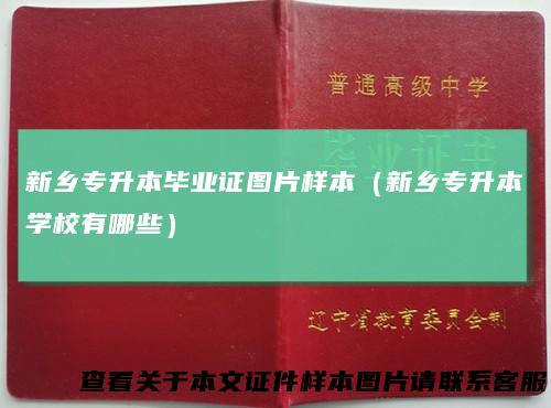 新乡专升本毕业证图片样本（新乡专升本学校有哪些）