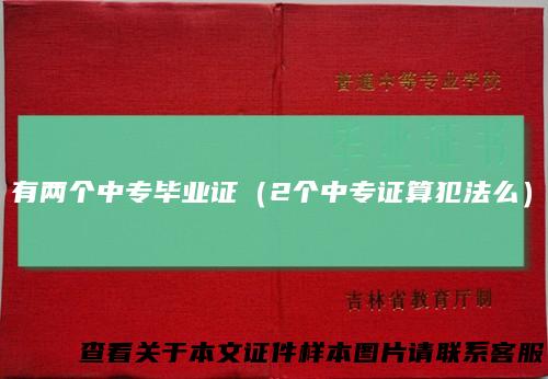 有两个中专毕业证（2个中专证算犯法么）