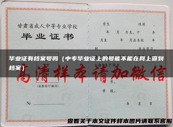 毕业证有档案号吗（中专毕业证上的号能不能在网上查到档案）