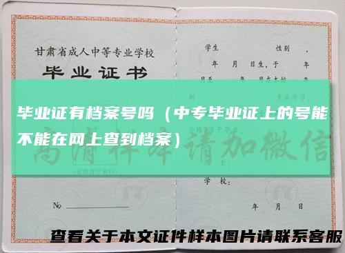 毕业证有档案号吗(中专毕业证上的号能不能在网上查到档案)