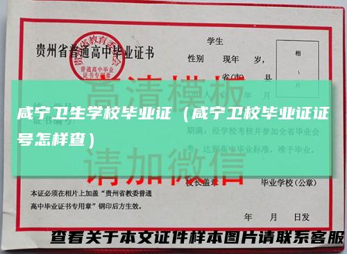 咸宁卫生学校毕业证（咸宁卫校毕业证证号怎样查）