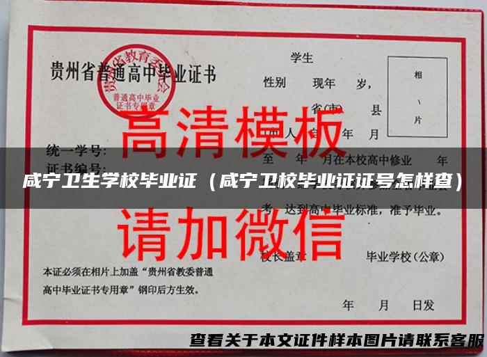 咸宁卫生学校毕业证（咸宁卫校毕业证证号怎样查）