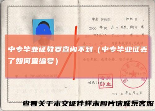 中专毕业证教委查询不到（中专毕业证丢了如何查编号）