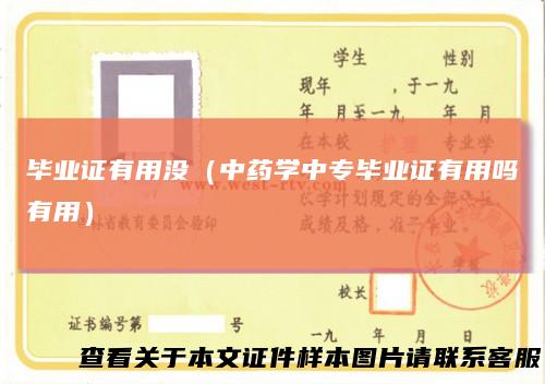 毕业证有用没（中药学中专毕业证有用吗有用）