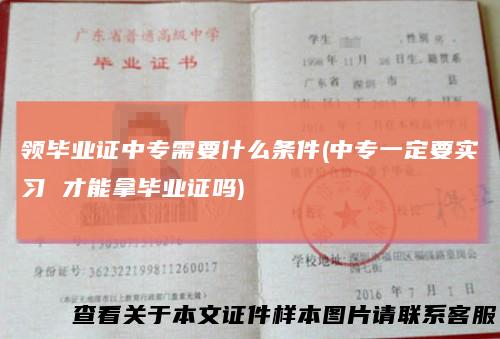 领毕业证中专需要什么条件(中专一定要实习才能拿毕业证吗)