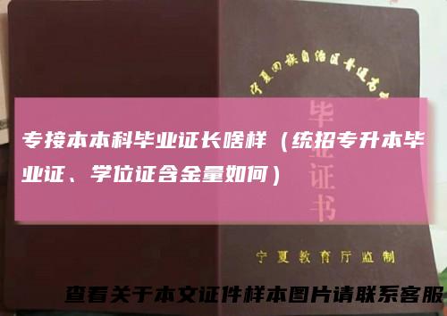 专接本本科毕业证长啥样(统招专升本毕业证、学位证含金量如何)