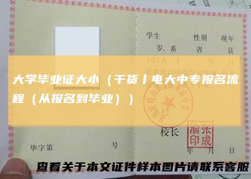 大学毕业证大小（干货丨电大中专报名流程（从报名到毕业））