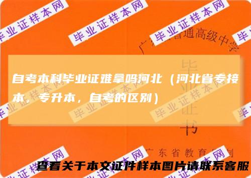 自考本科毕业证难拿吗河北（河北省专接本，专升本，自考的区别）