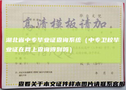 湖北省中专毕业证查询系统(中专卫校毕业证在网上查询得到吗)