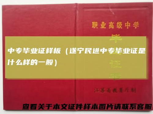 中专毕业证样板（遂宁民进中专毕业证是什么样的一般）