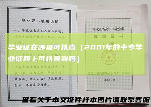 毕业证在哪里可以查（2001年的中专毕业证网上可以查到吗）
