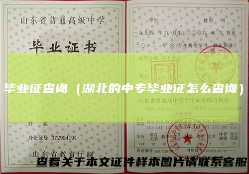 毕业证查询（湖北的中专毕业证怎么查询）
