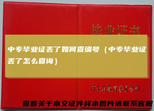 中专毕业证丢了如何查编号(中专毕业证丢了怎么查询)