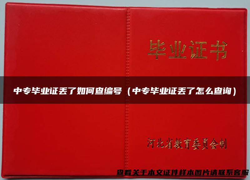 中专毕业证丢了如何查编号（中专毕业证丢了怎么查询）